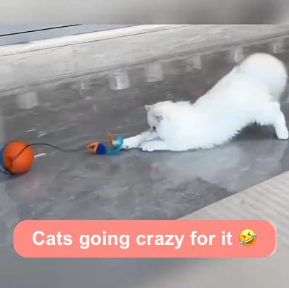 Interactive Cat Toys Ball Automatic Fast Rolling