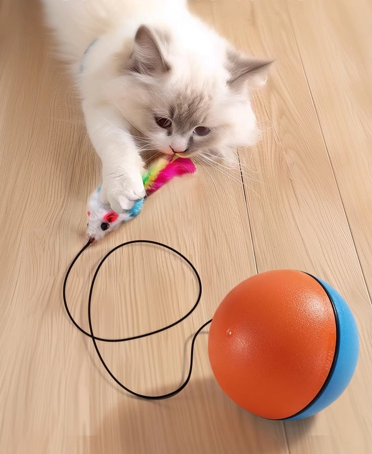 Interactive Cat Toys Ball Automatic Fast Rolling