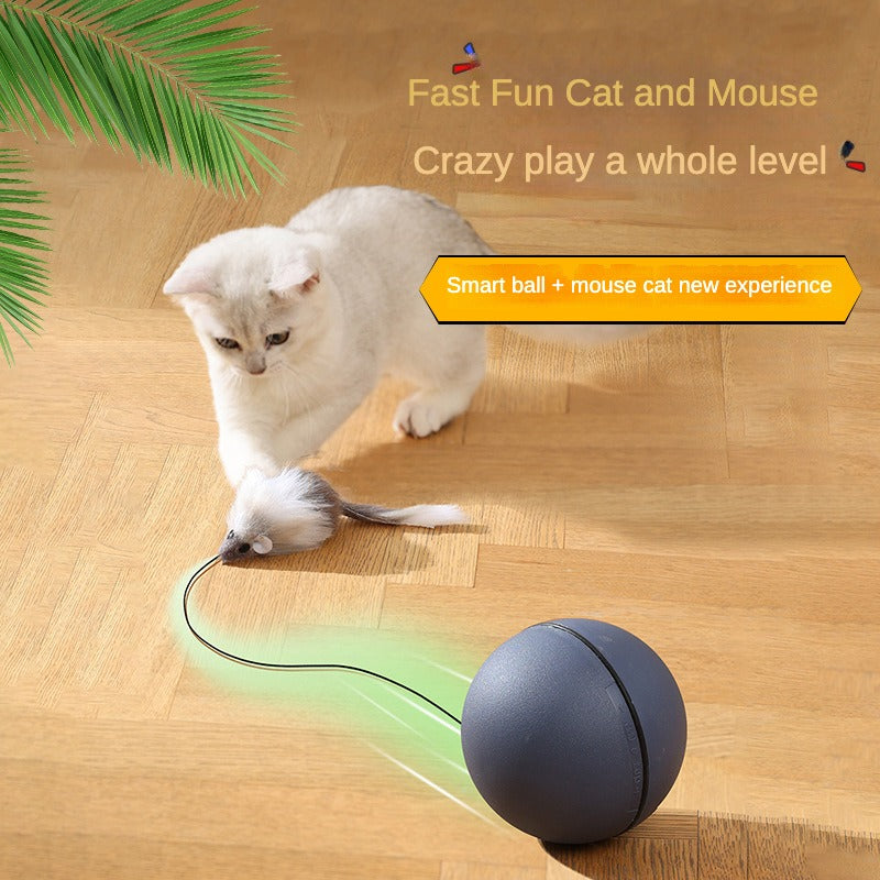 Interactive Cat Toys Ball Automatic Fast Rolling